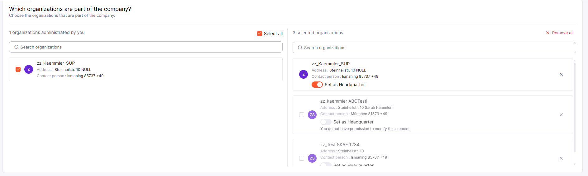 Company organization management view